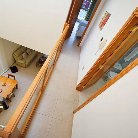 Eco - Duplex Tomillo * アリナガ